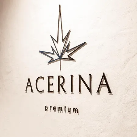 Appartamento Acerina Premium Apartments *